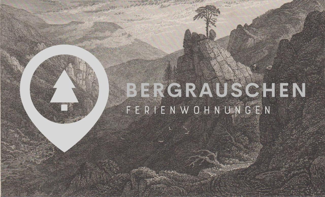 戈斯拉尔Bergrauschen - Waldloft - Preise Inklusive Waesche公寓 外观 照片